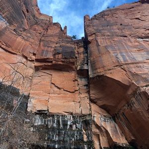 Meet your Posher, River